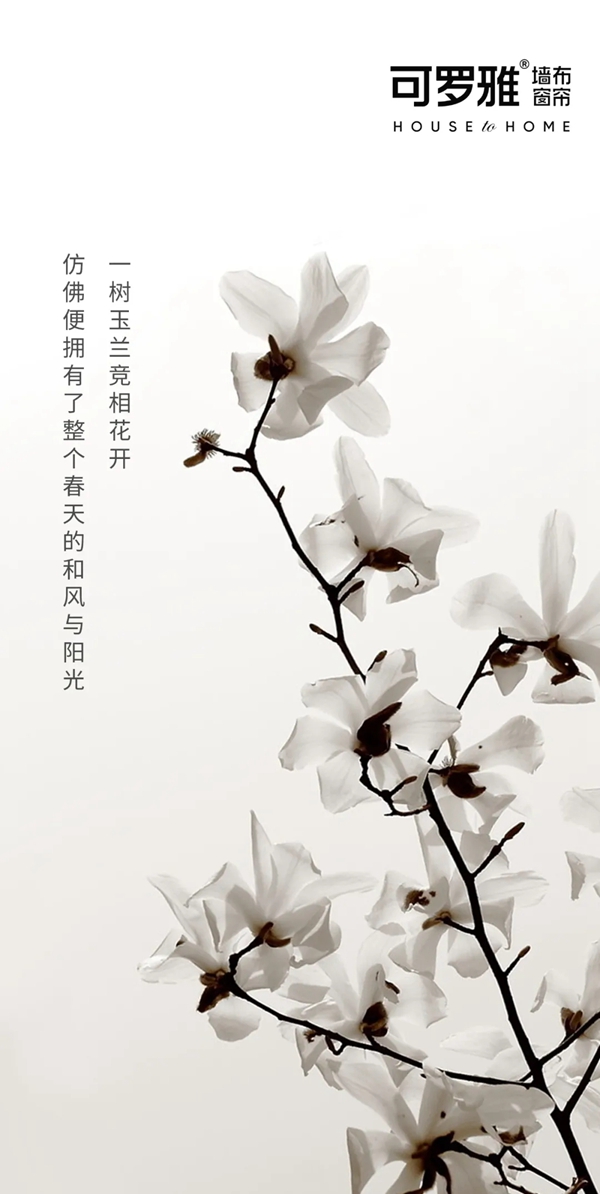可罗雅墙布