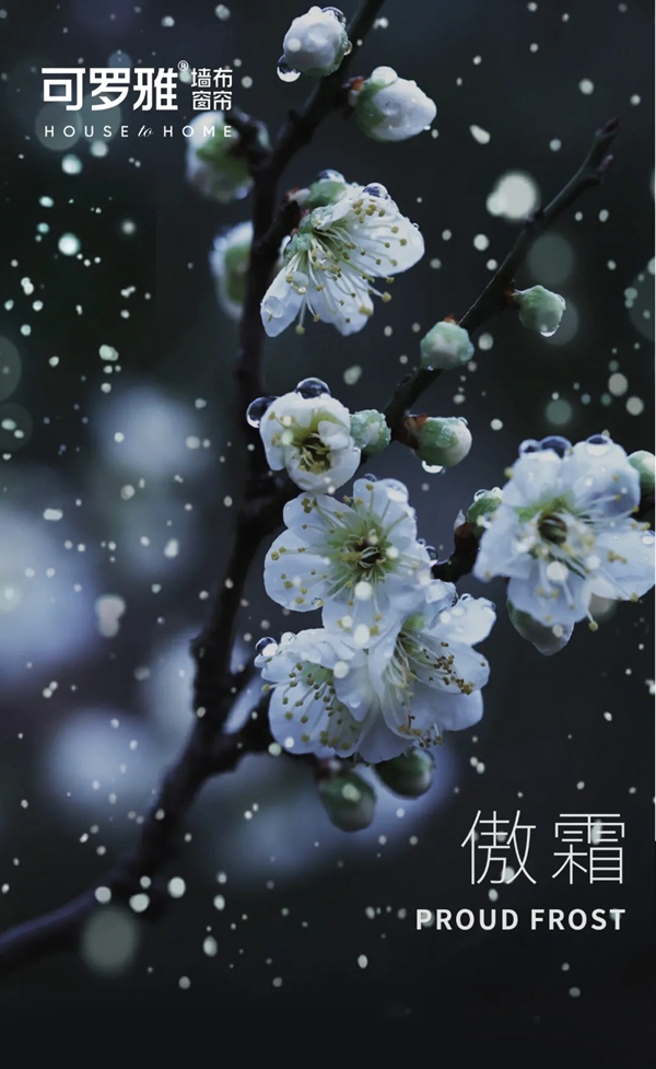 可罗雅墙布：映雪傲霜--