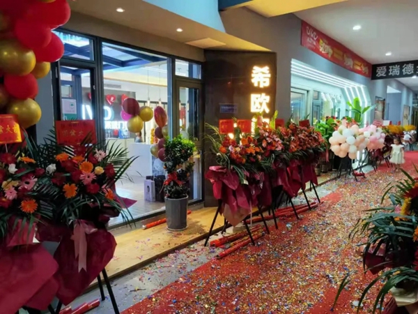 希欧门窗湖南怀化鹤城店开业大吉