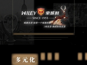 东威利全新姿态将亮相第二十三届中国建博会（广州）