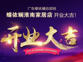 蝶依斓安徽淮南店开业，真皮沙发系列将陆续面市