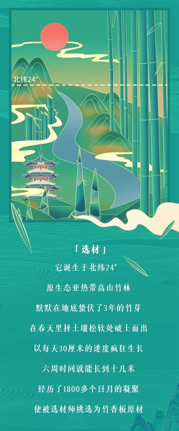 顶固全屋定制|健康又清香的净纯竹香板是如何诞生的？