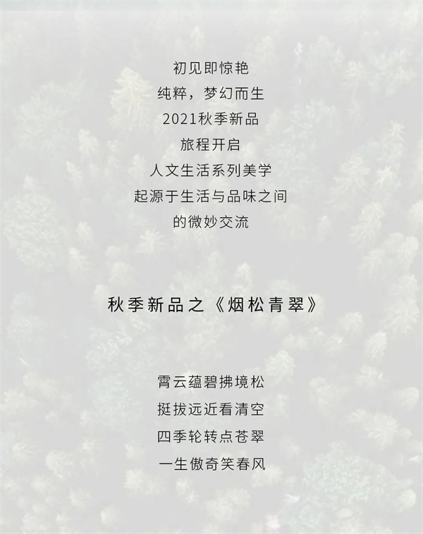 VISA高端定制软装新品 ——《大饰界2之烟松青翠》