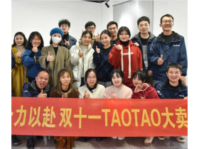 TAOTAO安全门 | 线上线下，全国狂欢，决战双十一