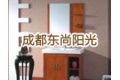 成都东尚阳光科技有限公司 