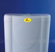 蹲厕水箱
