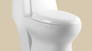 法恩莎陶瓷产品推荐-连体座便器系列-直冲式-T-2103