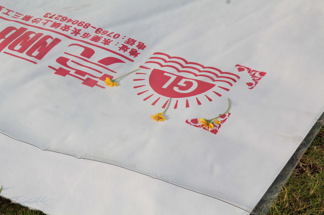 东莞厂家直销莞郦PVC装修地面保护膜墙地成品保护膜