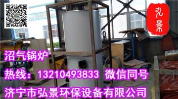沼气、煤两用节能环保锅炉--解决环境污染