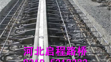 伸缩缝 山东伸缩缝15350835289