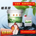 植筋胶材料生产 启程路桥品牌   厂家直销
