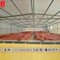 沼气储气袋/产气袋安装工期价格和定做尺寸详情