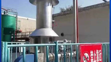 不锈钢100立方沼气火炬价格及沼气燃烧火炬规格定制