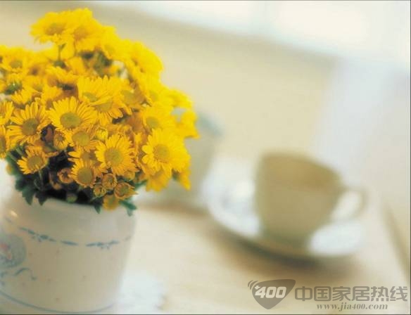 鸿扬宅配欧陆风情 精致生活 