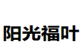天津市阳光福叶家具有限公司