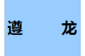 广州遵龙衣柜有限公司