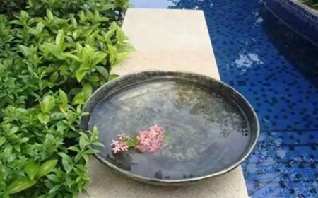 这些方法去甲醛，真的有效么？