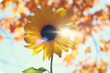 美国华盛顿邮报评选出的十大人间奢侈品，其实你都可以拥有~