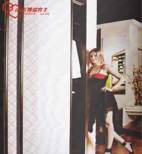 博瑞客丰衣柜4