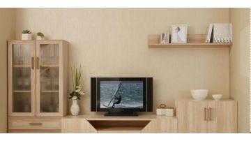 桂香莉TV11206A320