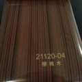 PVC膜21120-04