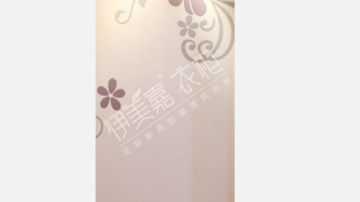 伊美嘉衣柜产品推荐-衣柜门-移门 Y-05