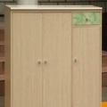 先导衣柜-多用衣柜