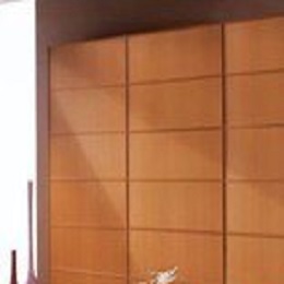 雅士迩衣柜