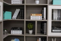 衣柜行业排行榜中艾娅全屋定制品牌排名如何 衣柜行业排行榜中艾娅全屋定制品牌排名如何