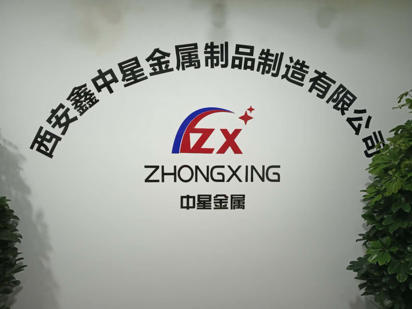 鑫中星