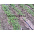 重庆滴灌带生产线 涪陵区PE滴灌带生产线