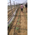 滴灌带 农田灌溉滴水带 黑色滴水带陕西供应商
