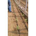 替代老式灌溉方式 陕西滴水软带 滴灌带灌溉设备