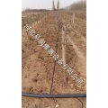 小管出流农民信赖产品 湖北滴水毛管省水