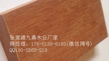 巴劳木 重庆巴劳木 玉檀优质沉水梢 九鼎木业
