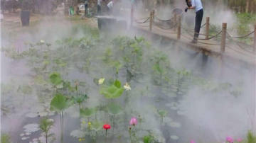 景区绿化带人造雾设备工程