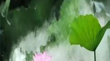  荷花池水景雾景冷雾系统工程