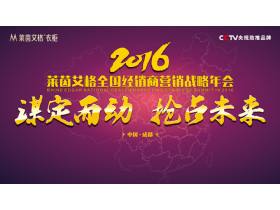 “谋定而动·抢占未来”2016莱茵艾格全国经销商营销战略年会