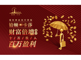 【慧亚－家居热线直播】铂顿·卡莎“财富倍增”计划——墙布单店百万营销计划济南站