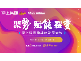 顶上集团“聚势•赋能•裂变”双品牌战略发展会议【慧亚直播】
