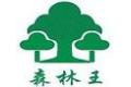 深圳市森林王家居有限公司
